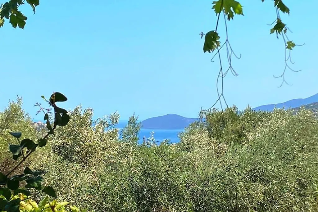 Bee Home - Holiday Cottage Agia Efimia 0*,